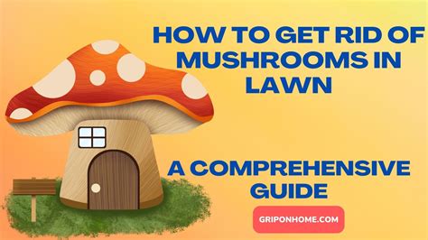 How To Get Rid Of Mushrooms In Lawn A Comprehensive Guide