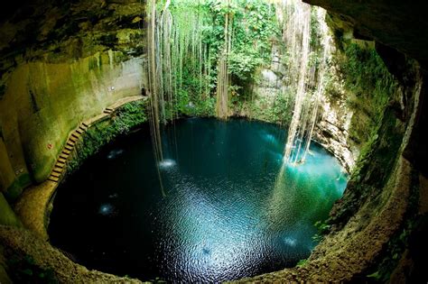 Flowing Water Cenotes High Angle View Nature Tree Day Long