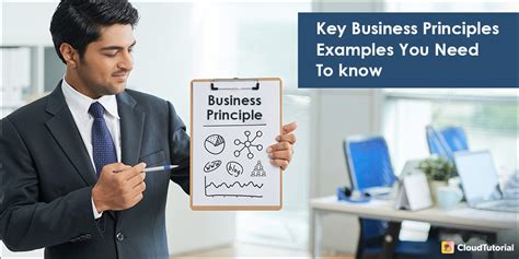 Top 12 Key Business Principles Examples You Need To Know