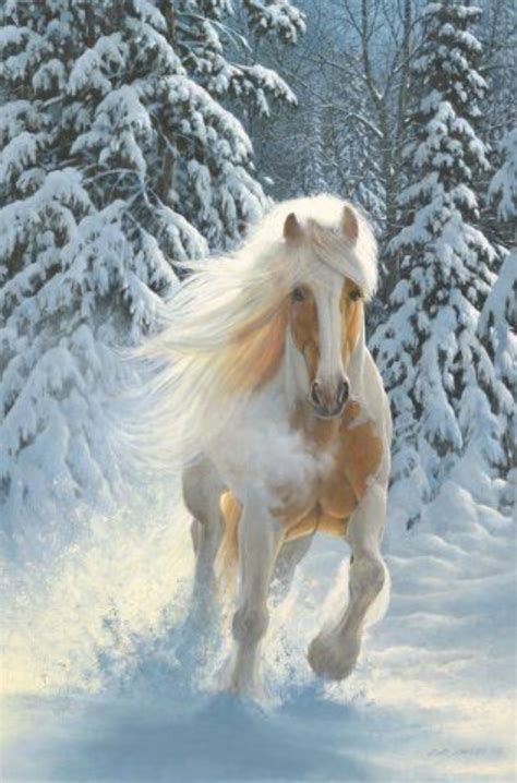 Power Horselover Horses In Snow Cute Horses Horse Love Wild Horses