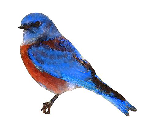 Bluebirds Clipart 20 Free Cliparts Download Images On Clipground 2021