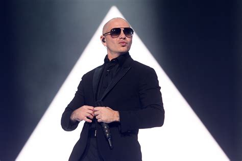 Pitbull Singer Wallpapers Wallpaper Cave