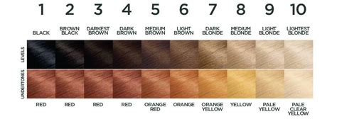 Hair Color Number Guide Find Your Perfect Shade Garnier