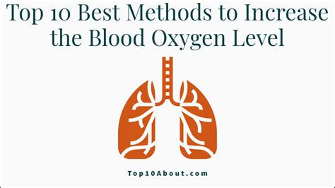 Top 10 Best Methods To Increase The Blood Oxygen Level Top 10 About