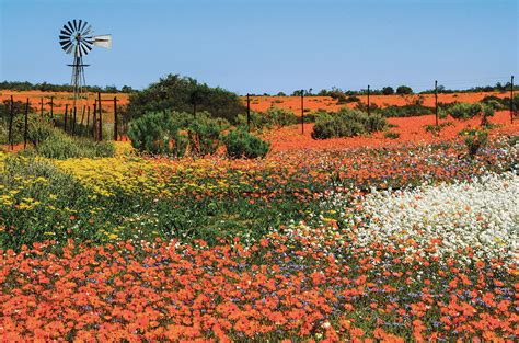 Below we have tabulated the 3 most frequently visited areas in south africa (ie: Namaqualand, one of Africa's best natural wonders