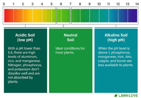 What Is Acidic Soil