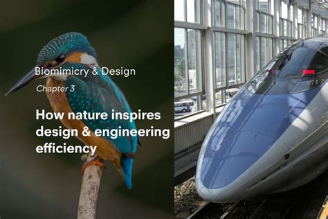 How Nature Inspires Design And Engineering Efficiency Strate