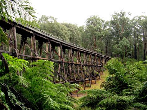 Noojee Trestle Bridge Rail Trail Walk 3km Gippsland Vic