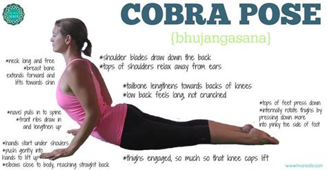 Yoga Cobra Position Image Search Results Cobra Pose Yoga Cobra