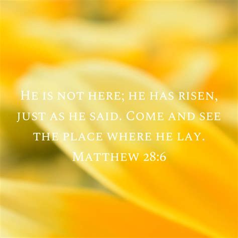 Matthew 286 He Is Not Here He Has Risen Just As He Said Come And