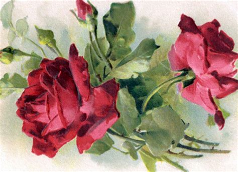 Joy Design Studio Vintage Art Red Roses Prints Postcard Flower