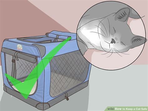 3 Ways To Keep A Cat Safe Wikihow