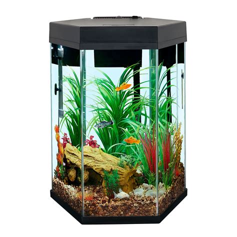 10 Gallon Fish Tank Stand Petsmart Bruin Blog