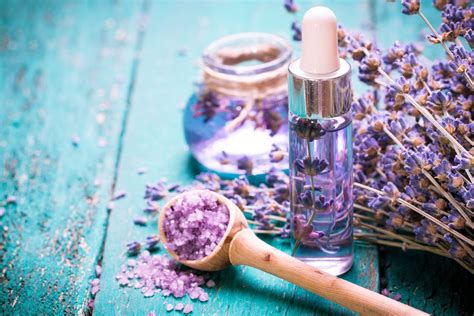 lavender essential oil 10 practical uses and benefits
