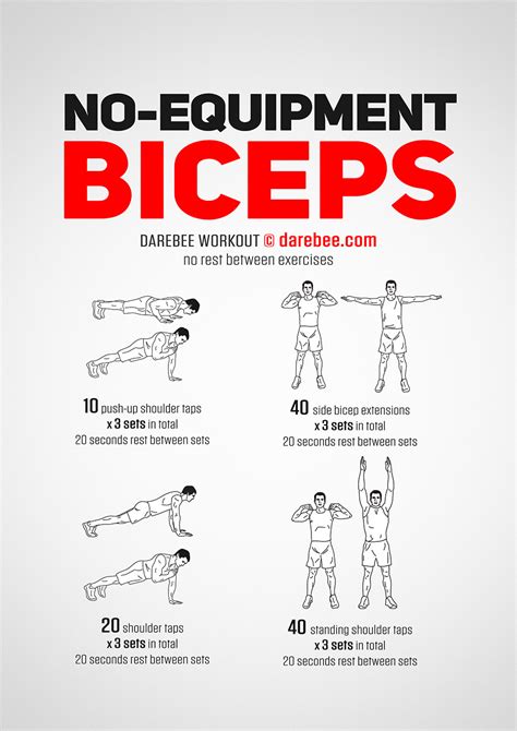 no equipment bicep workout