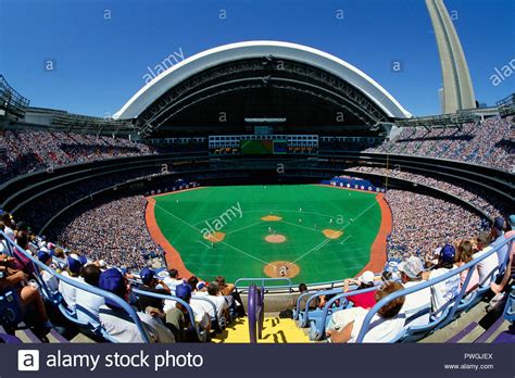 Toronto Blue Jays Fan High Resolution Stock Photography And Images Alamy