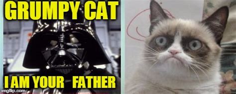 Grumpy Cats Father Meme Imgflip