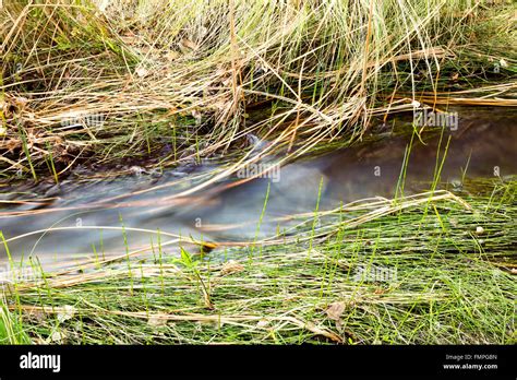 Green Grass Creek Hi Res Stock Photography And Images Alamy