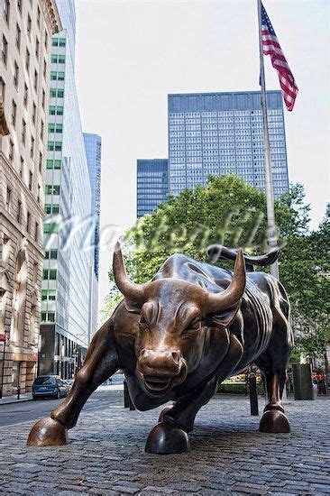 Charging Bull Nyc Manhattan New York New York City Wall Street News