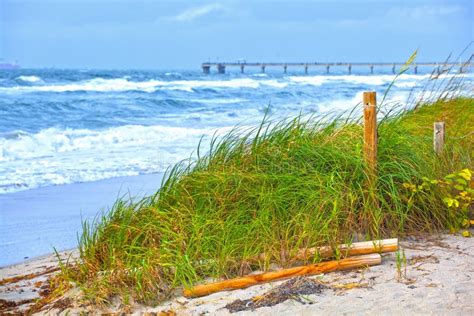 Florida Beach Grass Dunes And Waves During Storm Stock Image Image Of