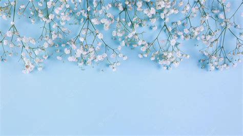 100 Baby Blue Wallpapers