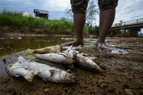We did not find results for: Barangkali ada yang masih mengingati kematian berjemaah ...
