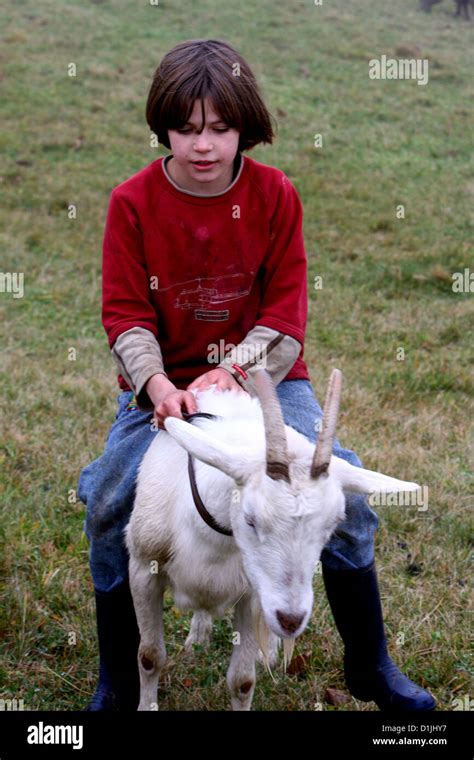 Girl Riding On A Goat Friendly Animal Farm Humor Stock Photo Alamy