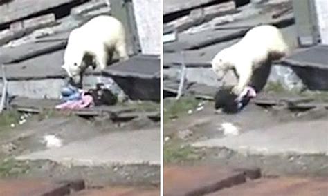 shocking viral video shows woman being attacked by a polar bear polar bear bear attack attack