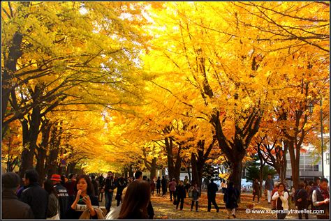 Autumn Hokkaido Travelling Guide Japan Supersilly