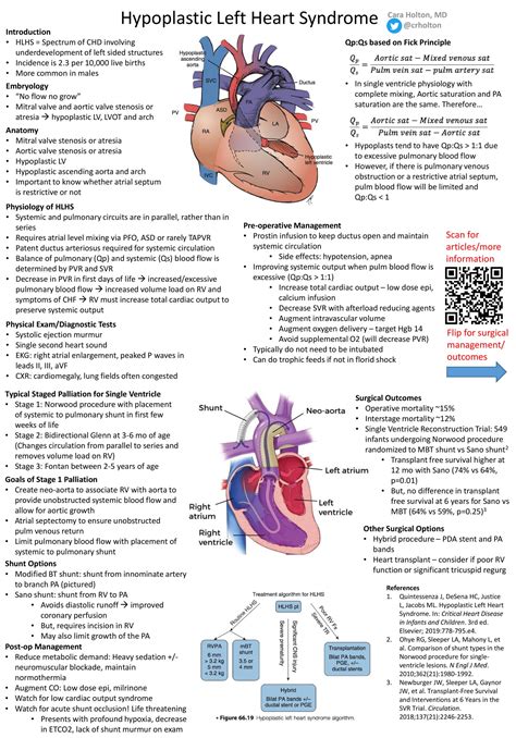 Hypoplastic Left Heart Syndrome Hlhs • Introduction Grepmed