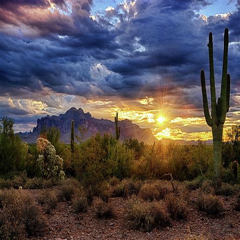 A Sonoran Desert Sunrise Square Photograph By Saija Lehtonen Pixels