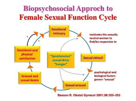 Femal Sexuality And Female Sexual Dysfunction Koc Univ