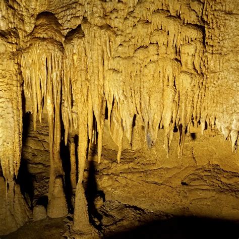Mammoth Cave Mammoth Cave National Park All You Need To Know Before
