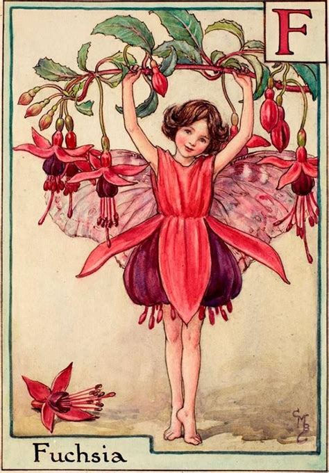 Cicely Mary Barker Illustration Blume Fuchsia Flower Fairy Artwork