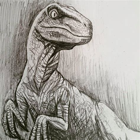 Arriba 90 Foto Velociraptor Blue Jurassic World Para Colorear Cena Hermosa