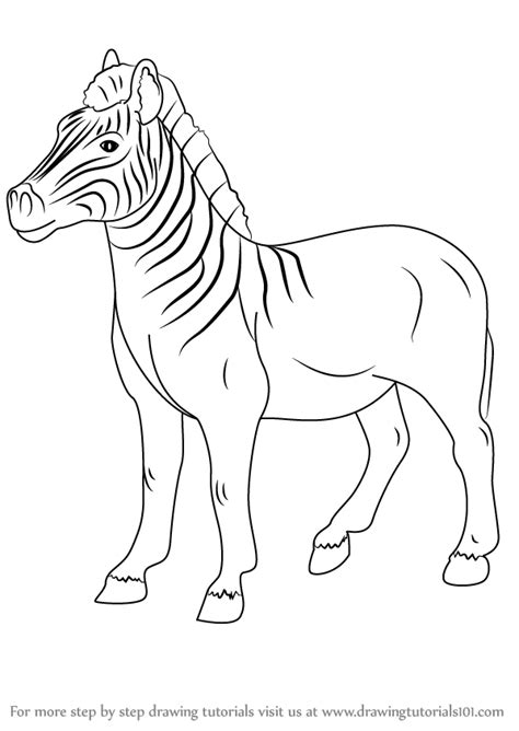Turns out that skinny triangles look even better. Learn How to Draw an Quagga (Other Animals) Step by Step ...