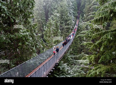 Capilano Suspension Bridge Vancouver British Columbia