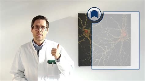 Dr Tobias Weigl Stark wirksame Opioide Morphin Oxycodon Hydromorphon