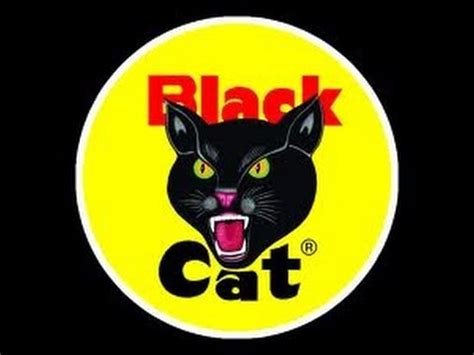 Black cat is proud to be a part of this important and fun american tradition. Year 2- HUGE Black Cat Firework Purchase - YouTube