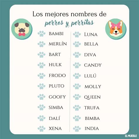 Mantenimiento Recuerdo L Gicamente Nombres Para Perros Machos Y Su Significado En Espa Ol Fuerte