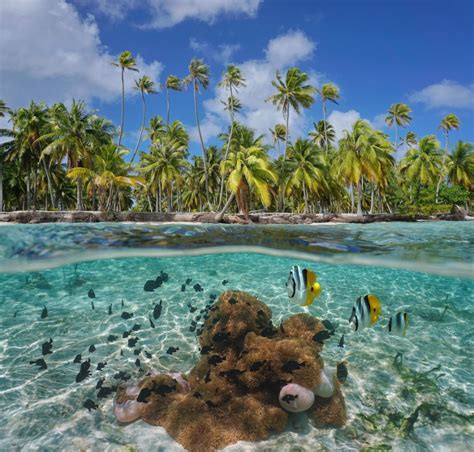 Le fuseau horaire de la capitale papeete est utilisé ici. Voyage de noces en Polynésie Française - Le Blog de Madame C