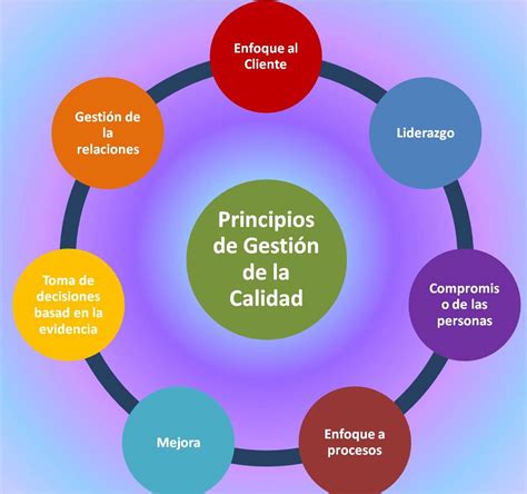 Modelo De Gestion De Calidad En Salud Principios Y Componentes The