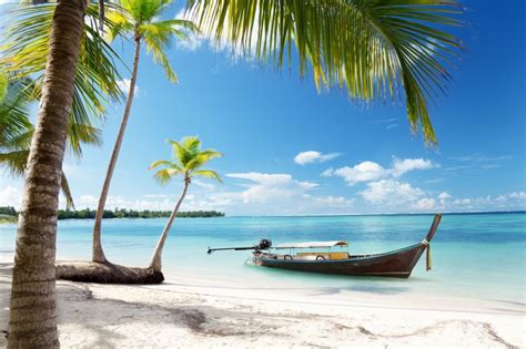 Palm Tropical Blue Ocean Emerald Summer Paradise Sand Coast