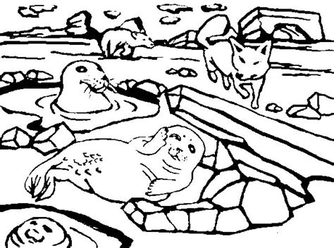 A Group Of Arctic Animals Coloring Page Kids Play Color