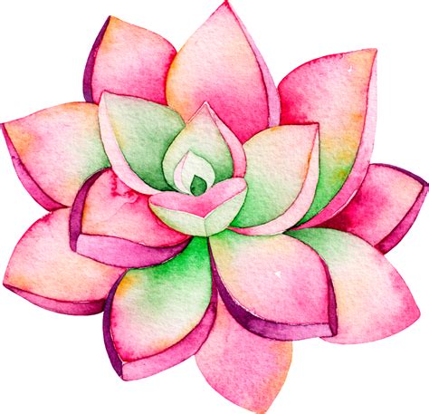 Download This Backgrounds Is Pink Fashion Lotus Cartoon Transparent