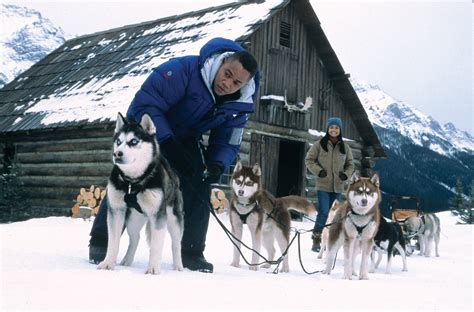 Are the dogs in snow dogs the same dogs used in eight below? Imagini Snow Dogs (2002) - Imagini Câinii zăpezii ...