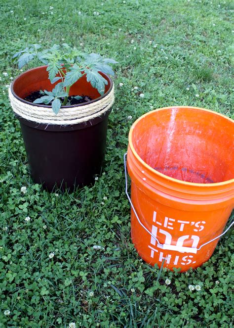 Lightly water the soil to moisten it without making it wet. How to Make a Planter From a 5 Gallon Bucket — Tag & Tibby ...