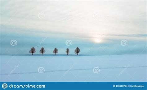 Stunning Background Panorama Of Snowy Frozen Landscape Snowscape With