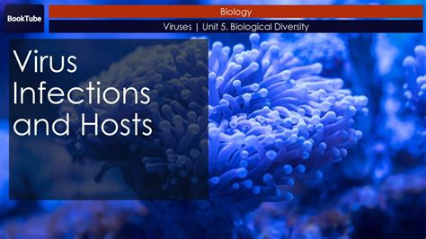 Virus Infections And Hosts Viruses Unit 5 Biological Diversity