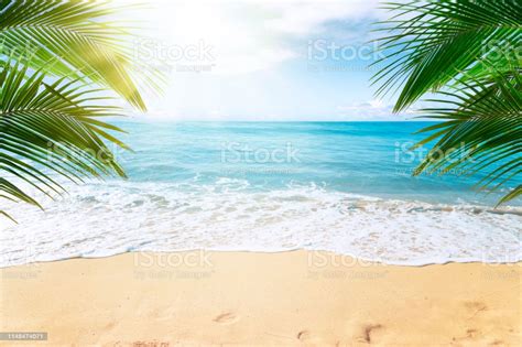 Download Tropical Beach Background Stock Photo Image Now Istock By